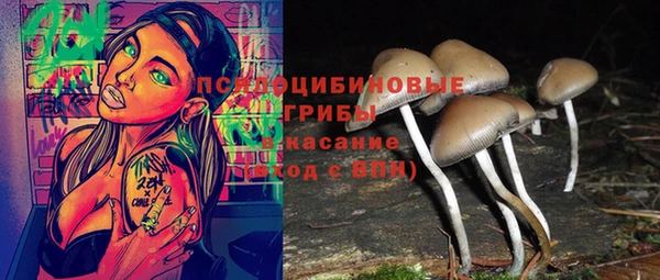 метадон Верея